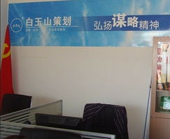白玉山策划公司 东莞企业融资与品牌营销的一站式智囊